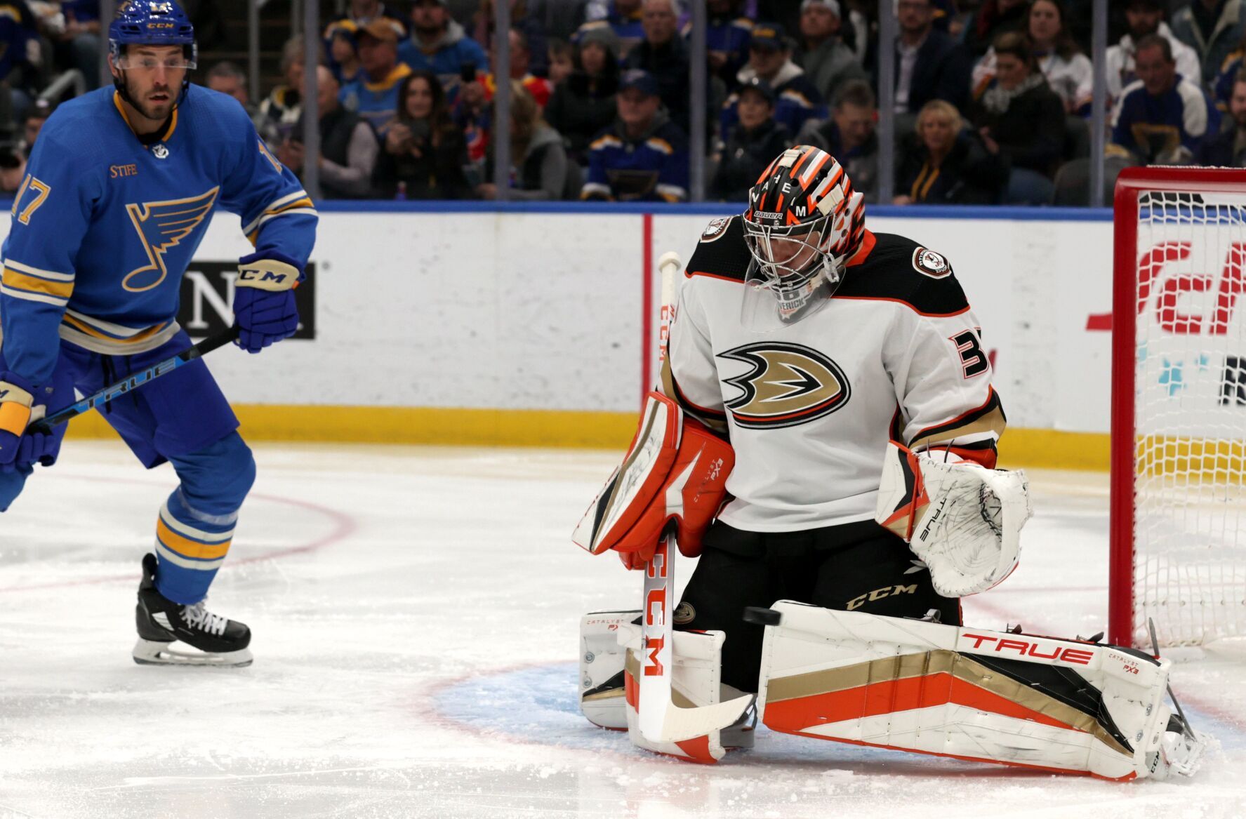 Blues 6, Ducks 2